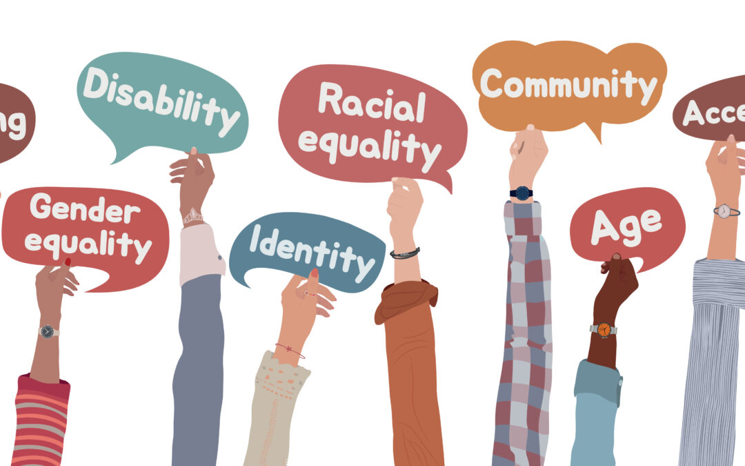 What is Inclusion?